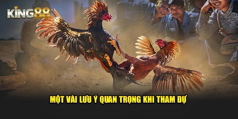 Một vài lưu ý quan trọng khi tham dự