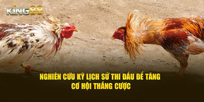 Nghiên cứu kỹ lịch sử thi đấu để tăng cơ hội thắng cược